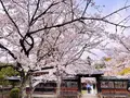 大覚寺の写真_681030