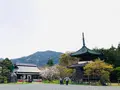 嵯峨釈迦堂（清凉寺）の写真_681035