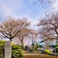 池の茶屋の写真_681045