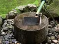 龍安寺の写真_681064