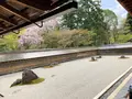龍安寺の写真_681099