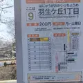 林酒造の写真_681257