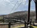 つつじ吊橋の写真_681332