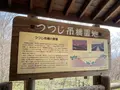 つつじ吊橋の写真_681333