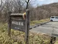 つつじ吊橋の写真_681336