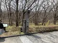 つつじ吊橋の写真_681337