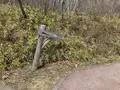 つつじ吊橋の写真_681338