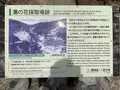 殺生石の写真_681340
