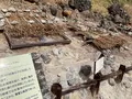 殺生石の写真_681345
