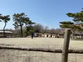 那須高原南ヶ丘牧場の写真_681355