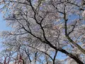 黒磯公園の写真_681590