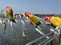 栃木県なかがわ水遊園の写真_681614