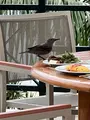 ザ・ブセナテラスの写真_681797