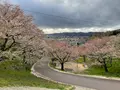 烏帽子山公園の写真_682212