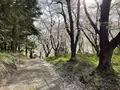 烏帽子山公園の写真_682218