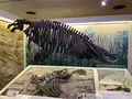 山形県立博物館の写真_682346