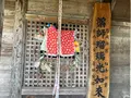 薬師堂(薬師桜)の写真_682362