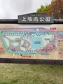 上堰潟公園の写真_682445