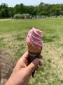 神代植物公園の写真_683274