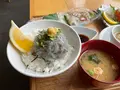 津田宇水産の写真_683507