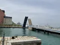 ブルーウィングもじの写真_683892