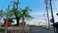 御所駅の写真_683913
