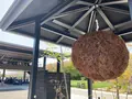長龍ブリューパークの写真_683940