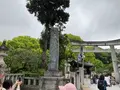 太宰府天満宮の写真_684355