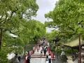 太宰府天満宮の写真_684368