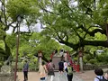 太宰府天満宮の写真_684369