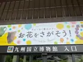 九州国立博物館の写真_684372