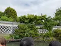 柳川川下り「松月乗船場」の写真_684402