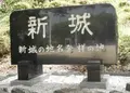 桜淵公園の写真_68443