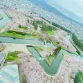五稜郭タワーの写真_684486