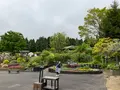 くじゅう花公園の写真_684921