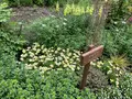 くじゅう花公園の写真_684923