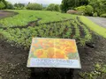 くじゅう花公園の写真_684936