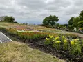 くじゅう花公園の写真_684950