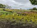 くじゅう花公園の写真_684952
