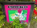 血の池地獄の写真_685127