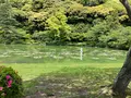 海地獄の写真_685351