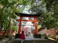 宇佐神宮の写真_685726