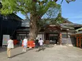 宇佐神宮の写真_685733