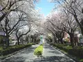 東京学芸大学の写真_68877