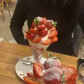 果実園リーベル 渋谷ヒカリエ店の写真_690106