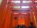 伏見稲荷大社の写真_690256