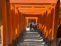 伏見稲荷大社の写真_690257