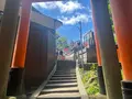 伏見稲荷大社の写真_690260