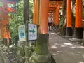 伏見稲荷大社の写真_690263