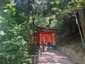 伏見稲荷大社の写真_690268